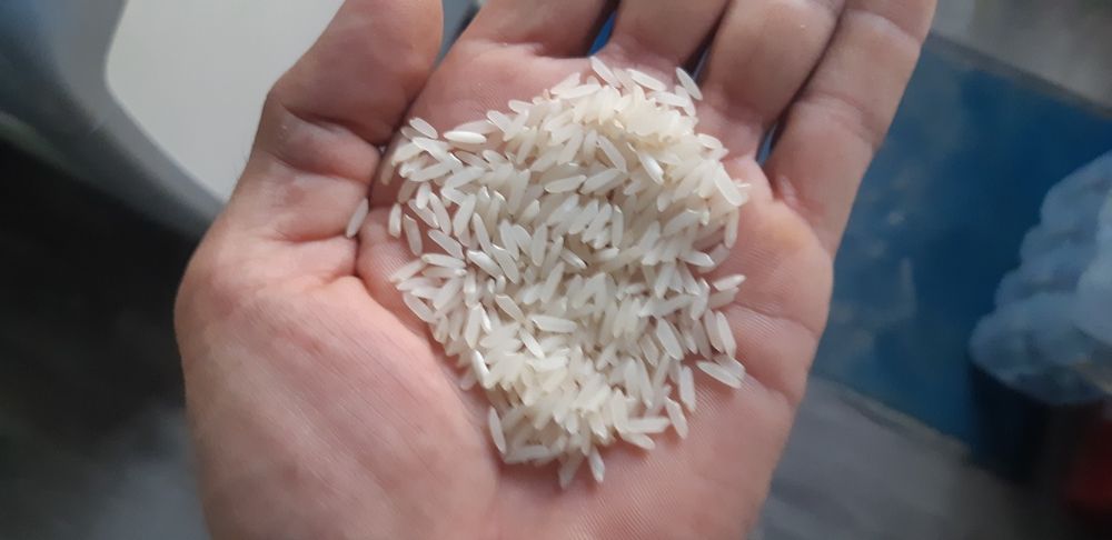 Рис сорта Лазурный, с первых рук.