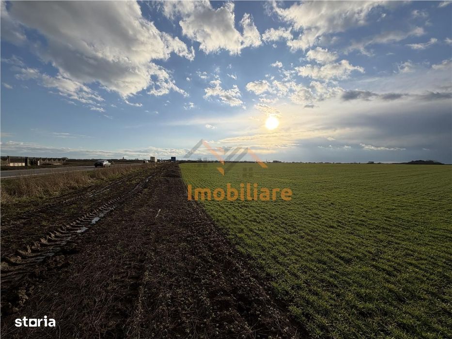 Teren Intravilan 24457 Mp | 80 Ml Front Stradal | Oradea | Bihor
