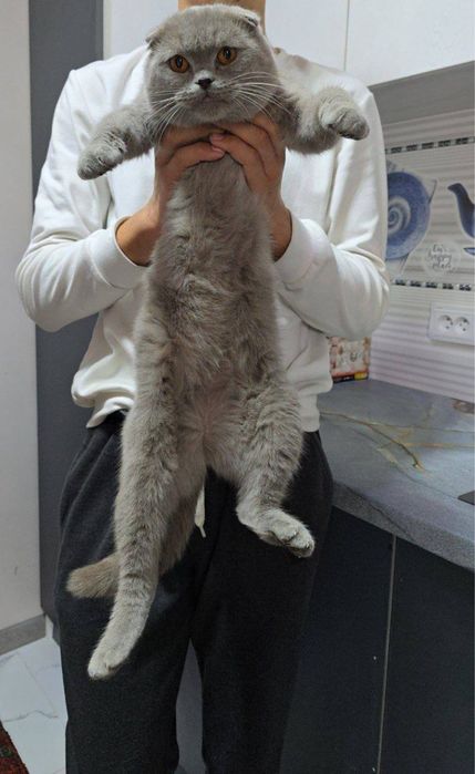 Xomlador 100% Er Xotin Sotiladi