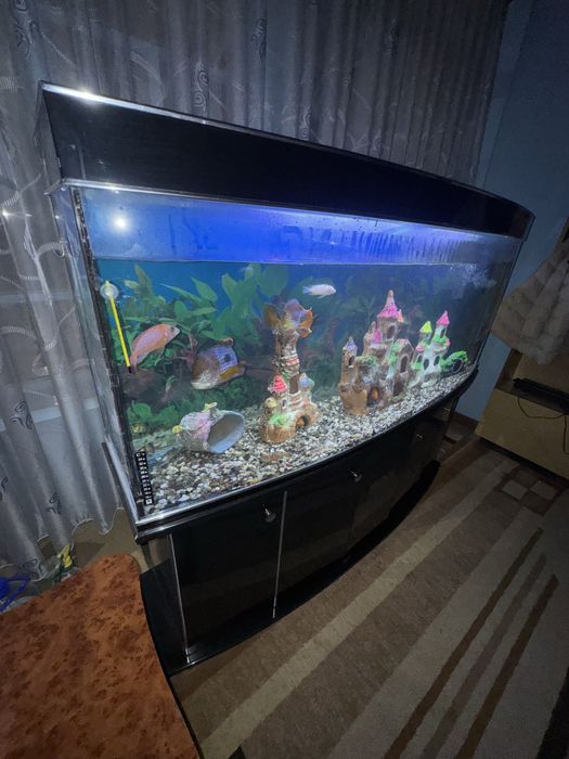 Akvarium 500 litr