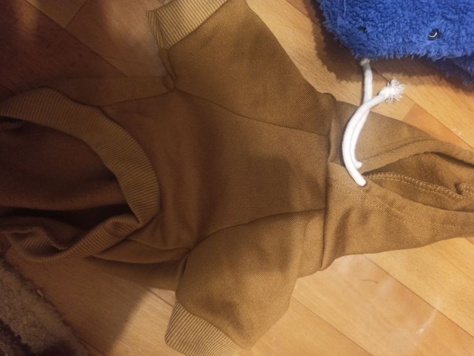 Вещи для собаки всего за 5000