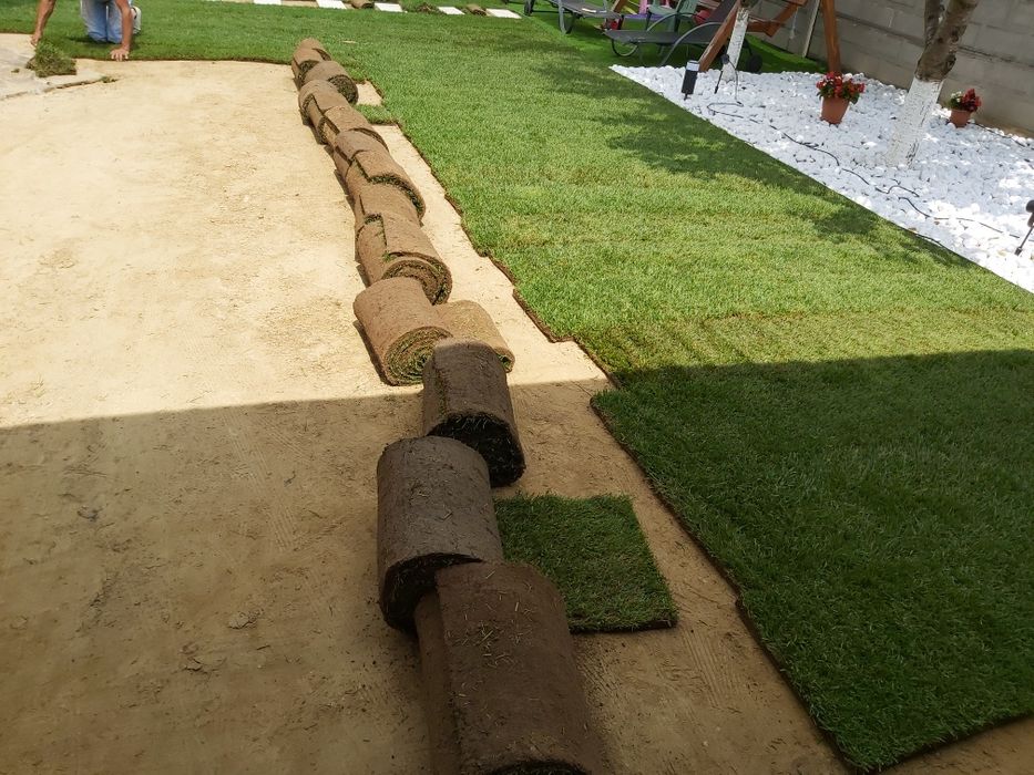 Însămănțat montat gazon, curte grădină montat sistem de irigat