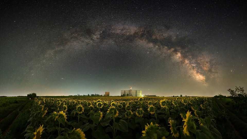 Vand obiectiv Samyang XP 14mm f/2.4, montura Nikon F