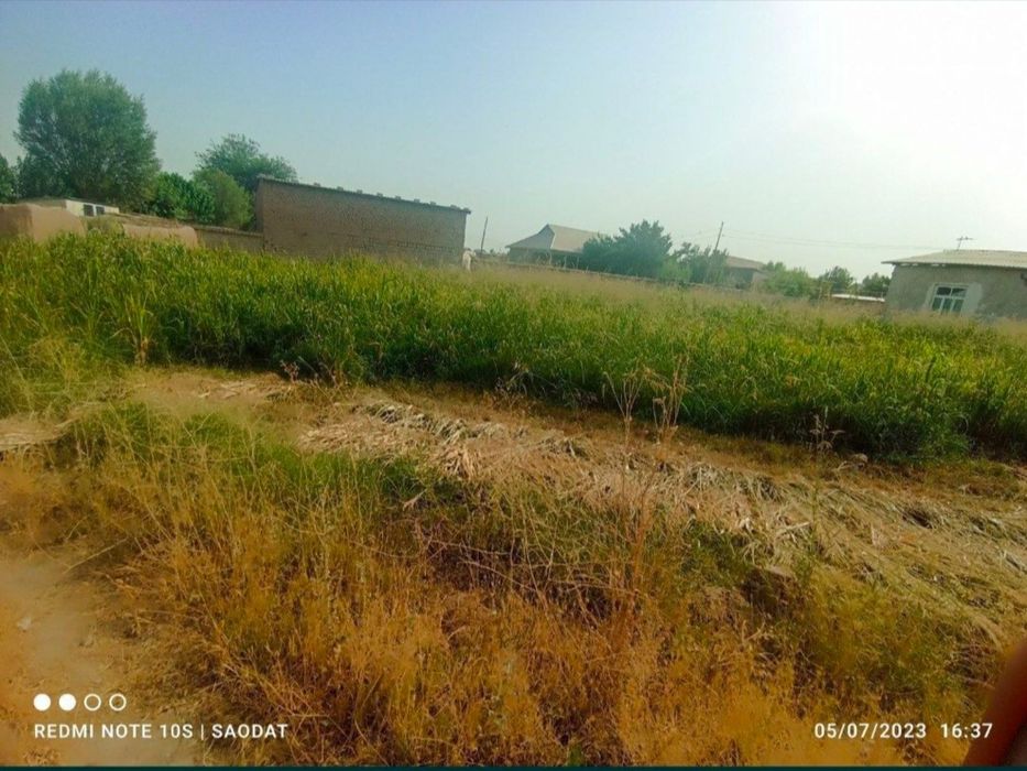 Ogorod 10 sotiq Shurchida