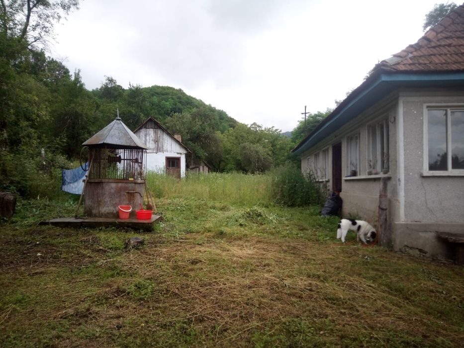 Vand Casa Halmagiu Sat Tisa 2763 m²