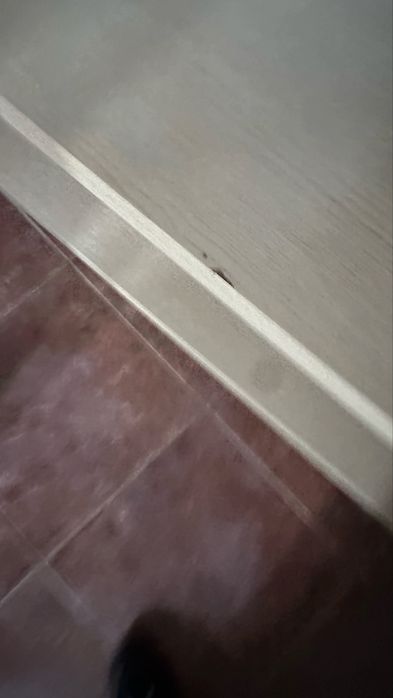 Подарявам холна маса