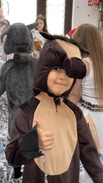 Продаю костюм лошади