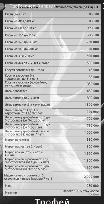 Дом на берегу озера и леса