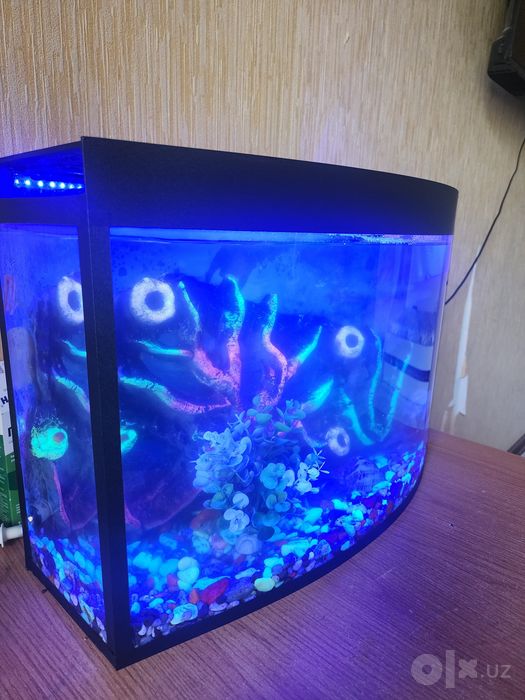 Avarium 35 litr kotta