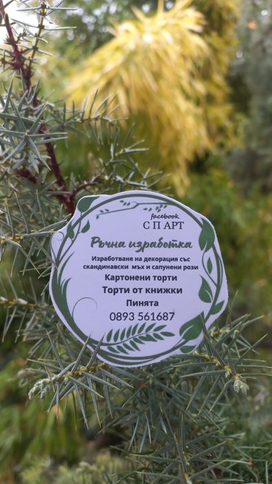 Торта от книжки и моливи, подходящи за празнуване на рожден ден