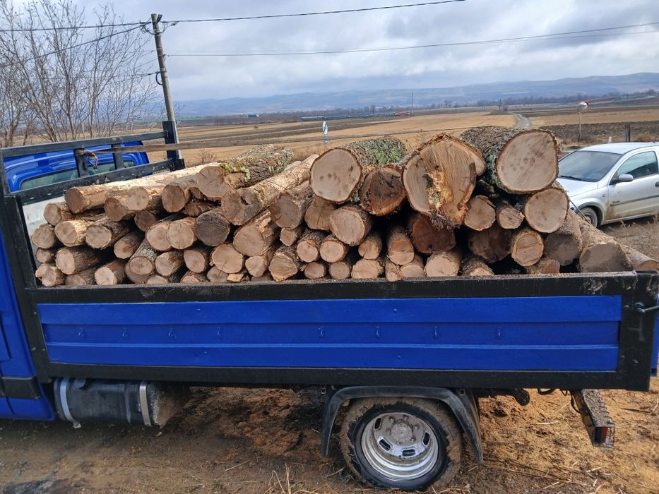 Vând lemne de foc , fag , stejar !!