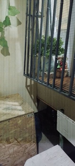 ‼️ 1 в 2 ком на 1 этаже ул.Семашко‼️