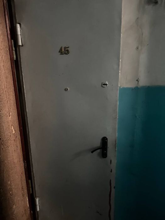 Temir eshik holati alo