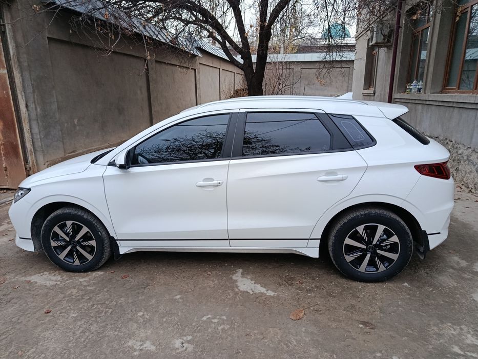 byd e2 luxury 2024