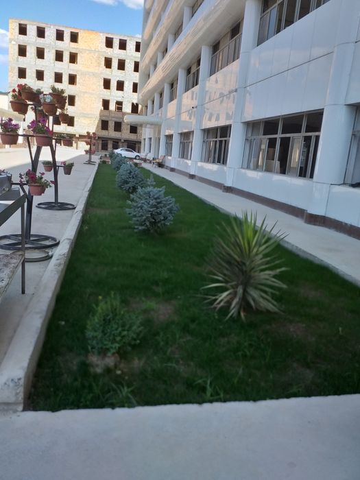 Gazon ekamiz sifatli va Arzon