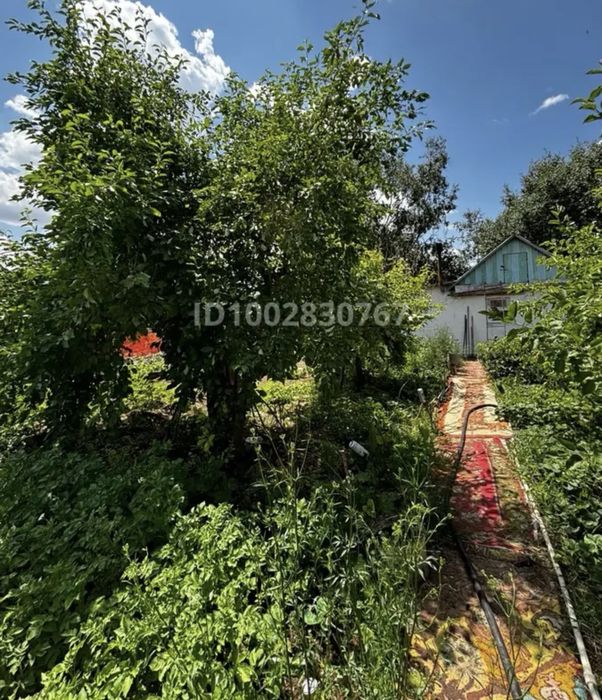 Прожам дачу на СПП