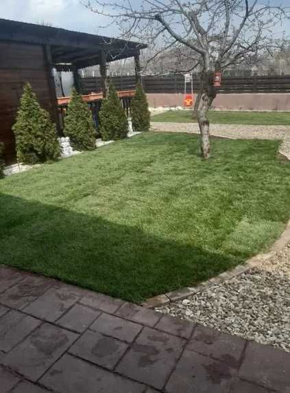 Gazon de Pepinieră Rezistent – Serviciu Complet de Amenajare