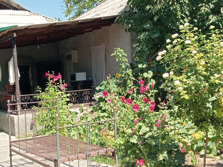 20 sotix uchastka