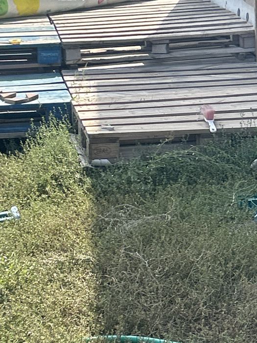Паддондар сатамын