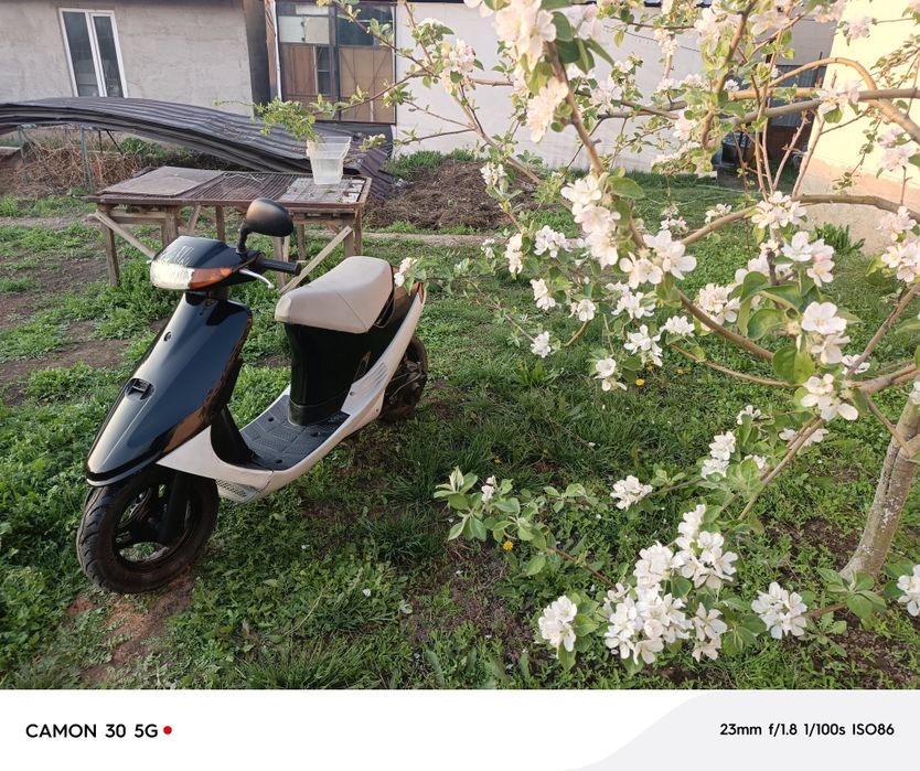 Сузуки сепия можно обмен на эндуро