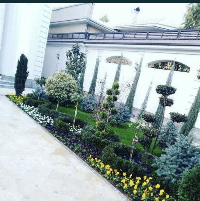 Yevro gazon ekish hizmatlari palif sistema