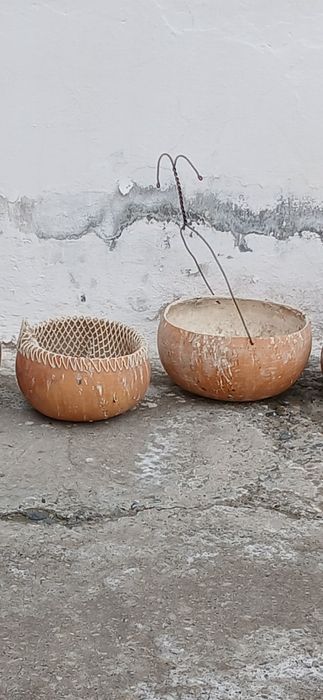 Bedana qovoqlari naqishli