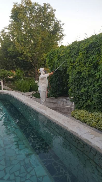 ДЕЗИНФЕКЦИЯ! от клопов и насекомых! Гарантия и Скидки!