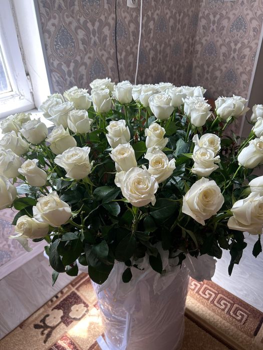 Букеты бүгін келген