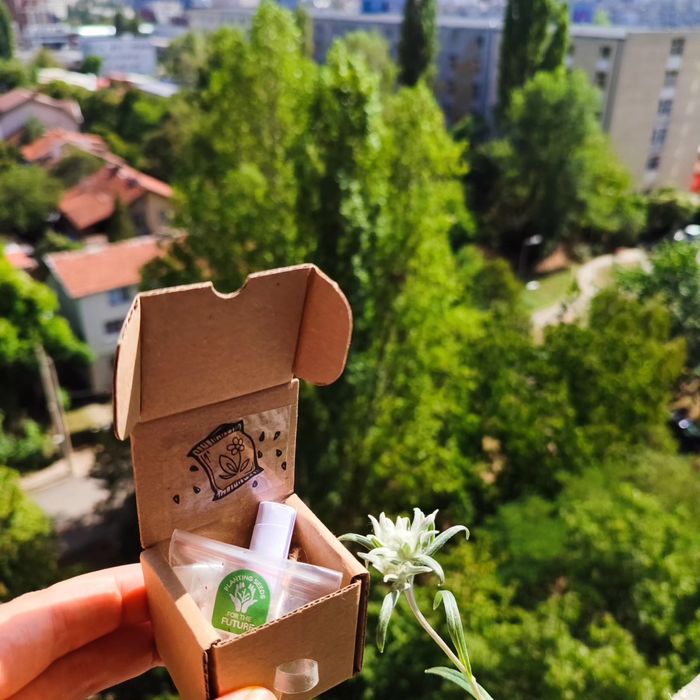 Отгледай своя Еделвайс! Кутийки със семена и инструкции.