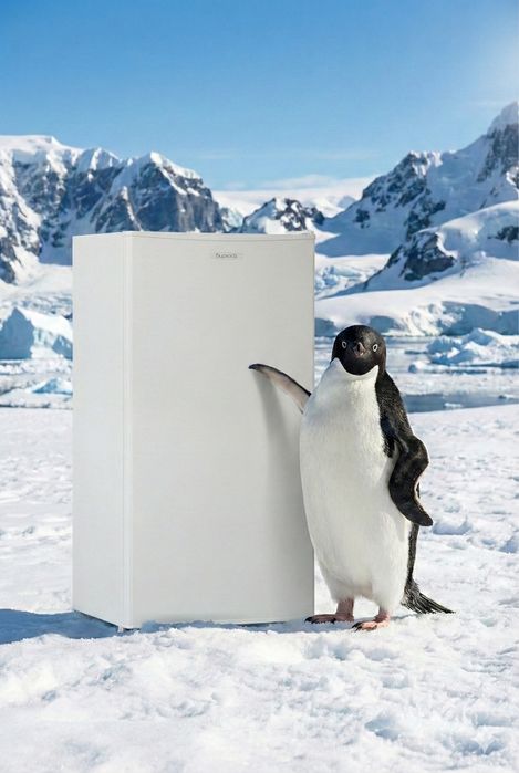 ХОЛОДИЛЬНИК 80см почти новый