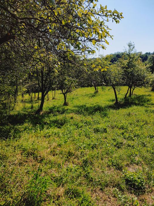 De vânzare teren intravilan – 2.500 mp ,15 euro mp,sat Ulmețel, Rm.VL