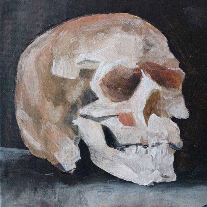 Картина 20×20см череп