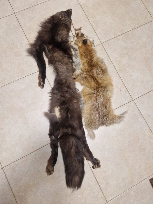 Кожи лисица естествени