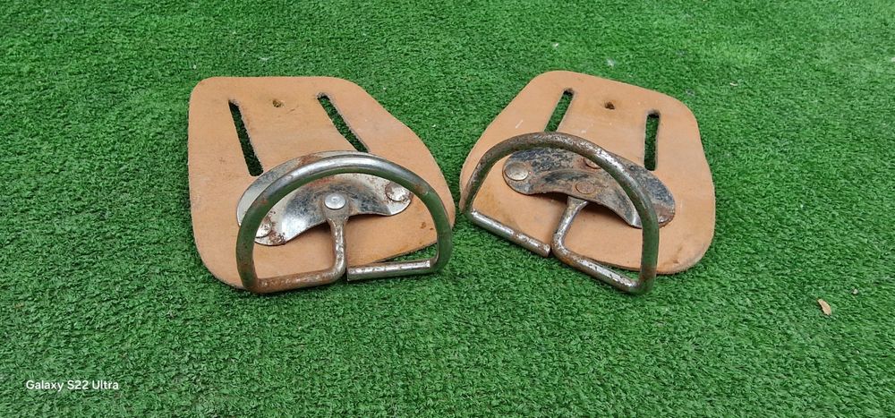 Vand agatatori dulgheri Germania