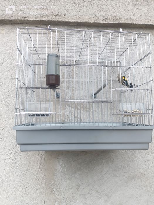 Сава пепель продается