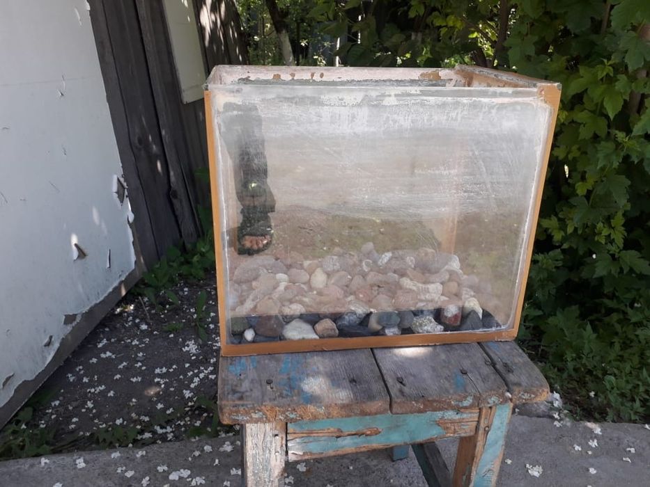 Аквариум 10литровч