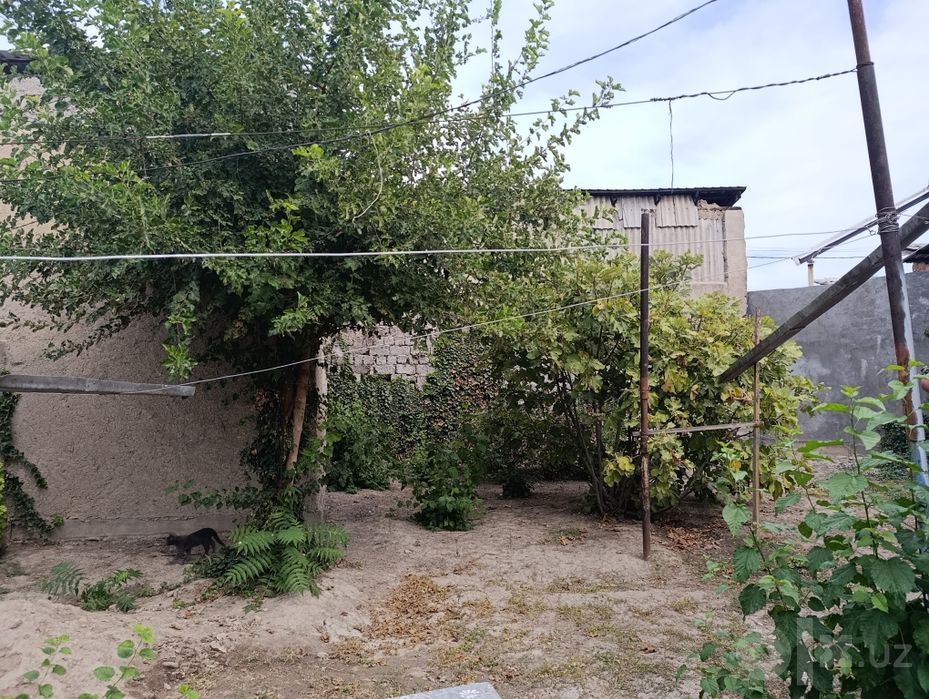 Ул.Фитрата Г.Алиева 4.2сот.35000уе