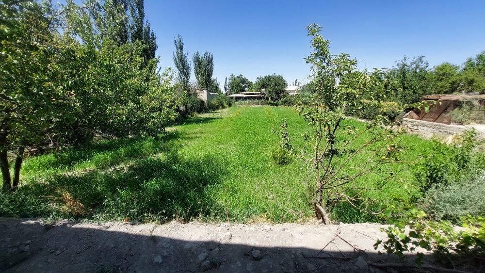 25 sotixli HOVLI