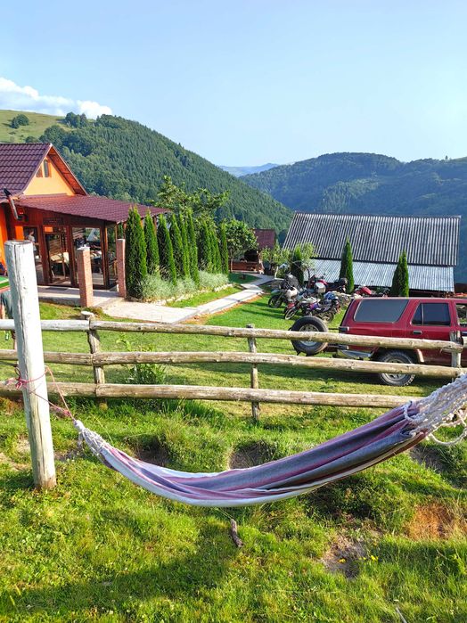 Cabana(Tara Motilor)--Cabana PIN 1000m