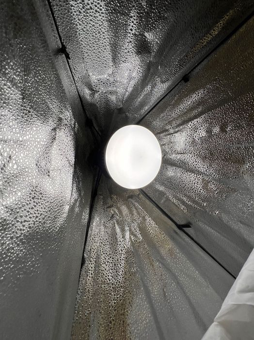 2 Х Софтбокс Лампа Andoer 70 Х 50см, 85W  Фото/ Студийно осветление