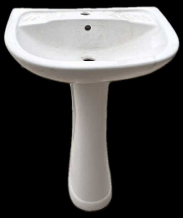 Раковина тюлпан.