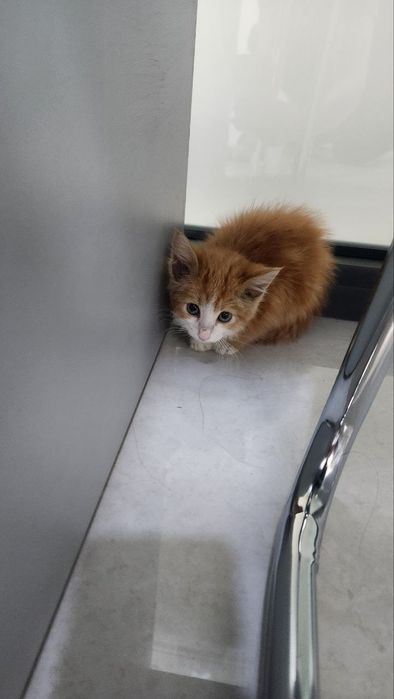 Замечательные малыши ищут свою семью где их будут любить