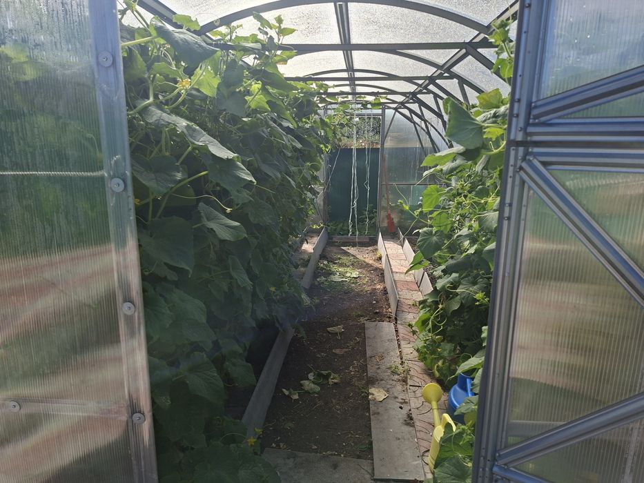 Продам дачу с/т Каштан