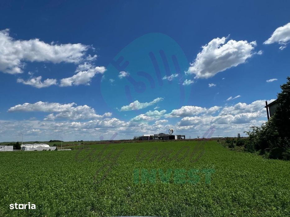 Teren intravilan 1.000 mp | Lângă Balta Pasărea | 20 de min de Bucureș