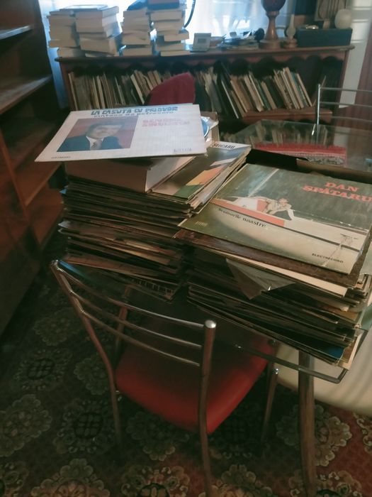 Discuri vinil de vânzare muzica veche deosebita artiști consacrati