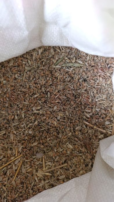 зерноотходы дробленные