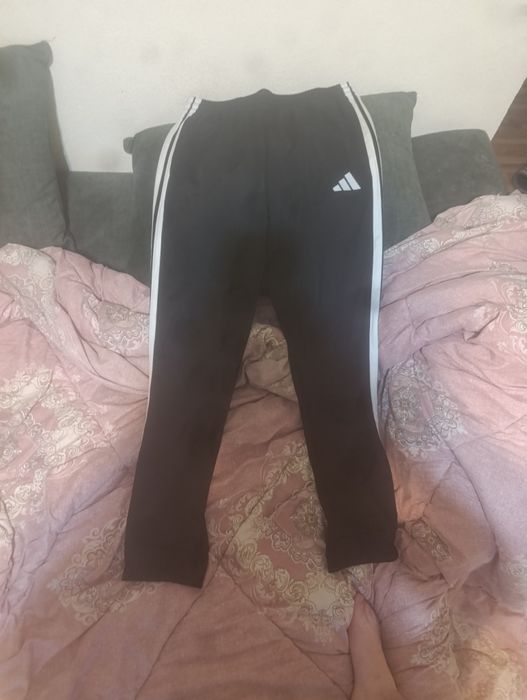 compleu adidas  nou nout