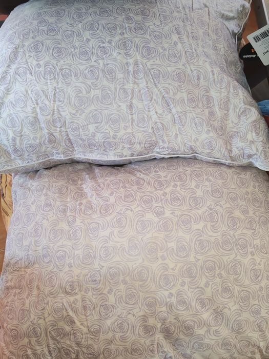 Doua perne 50/70 din puf și pene