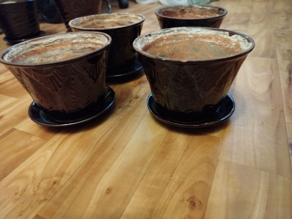 Горшки для посадки растений