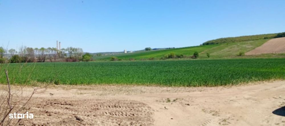 Teren intravilan, 41  ari, zona centurii